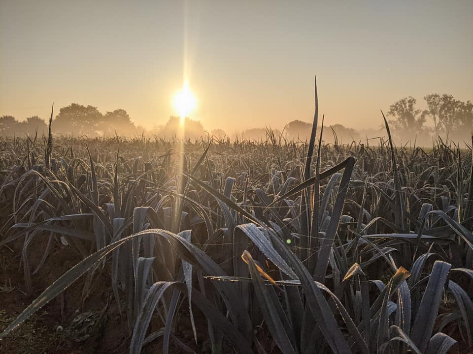 ferme chapelle oreye