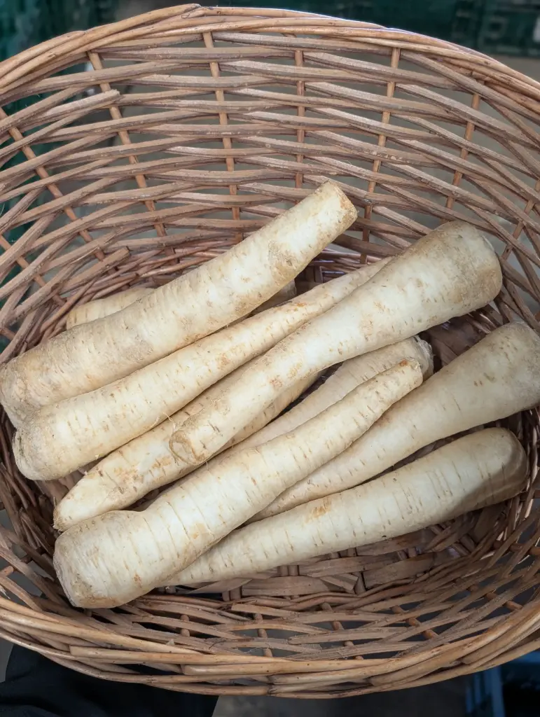 Persil tubéreux Bio