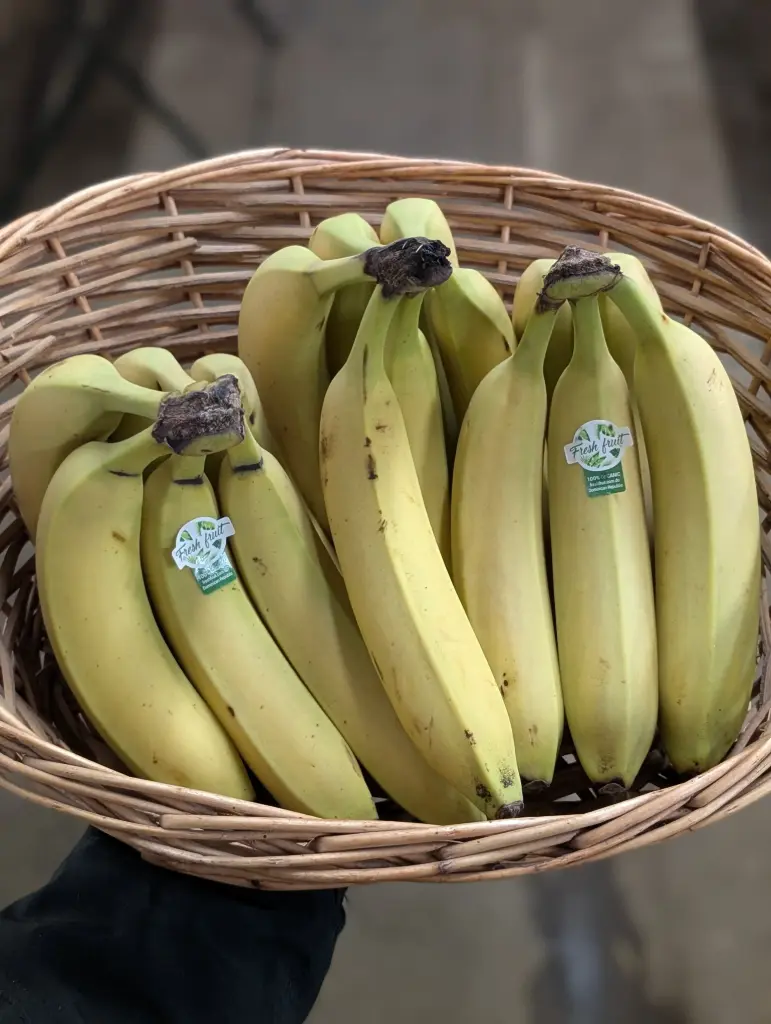Banane Bio 