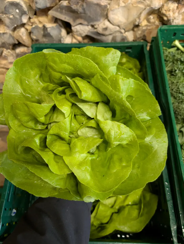 Salade Bio