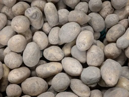 Pommes de terre grenaille Bio