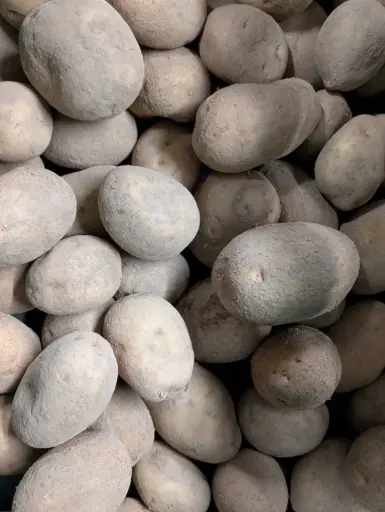 Pommes de terre chair ferme Bio