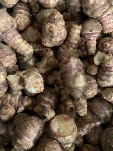 Topinambour BIO