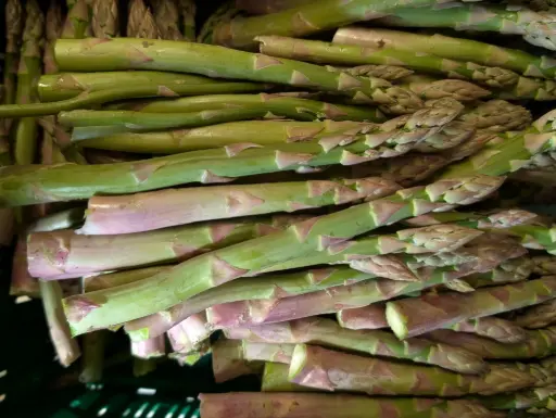 Asperges vertes