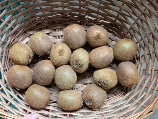 Kiwi Bio